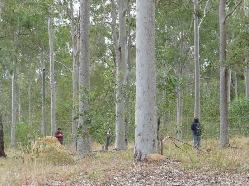 215 Bartleys Road, Spring Creek QLD 4343