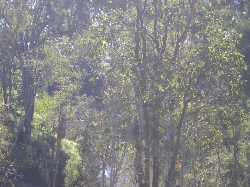 Patrick Estate QLD 4311