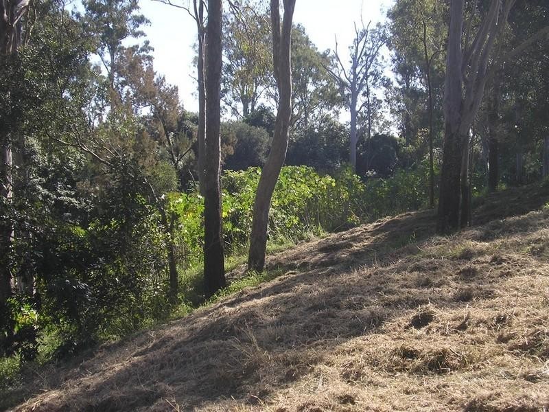 Patrick Estate QLD 4311