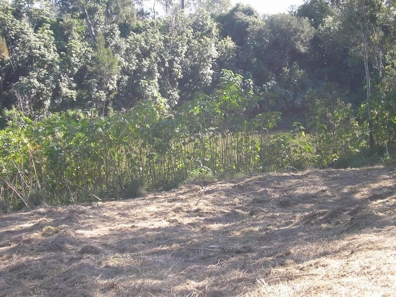 Patrick Estate QLD 4311