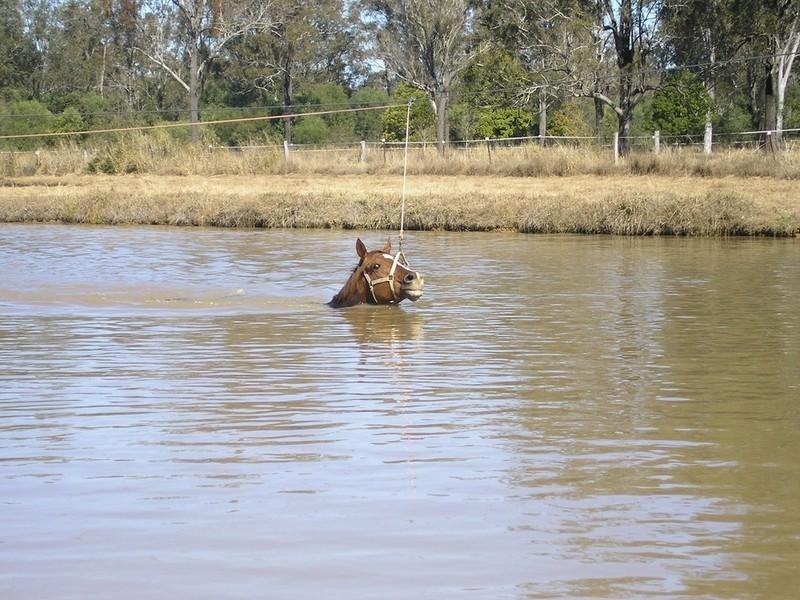Wanora QLD 4306