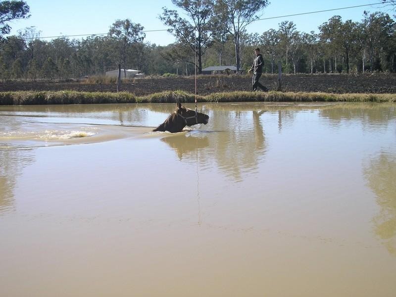 Wanora QLD 4306