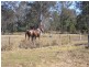 Wanora QLD 4306