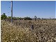 Mount Tarampa QLD 4311