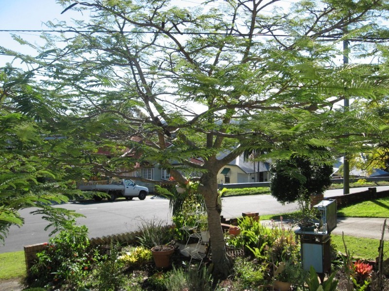 15 Gunyah Street, Lutwyche QLD 4030