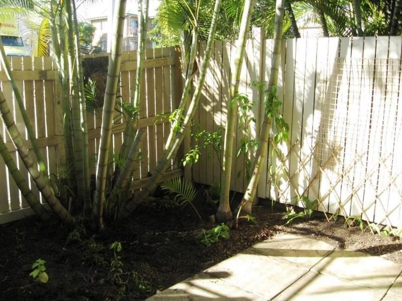 16/34 Lowerson Street, Lutwyche QLD 4030