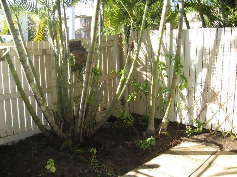 34 Lowerson Street, Lutwyche QLD 4030