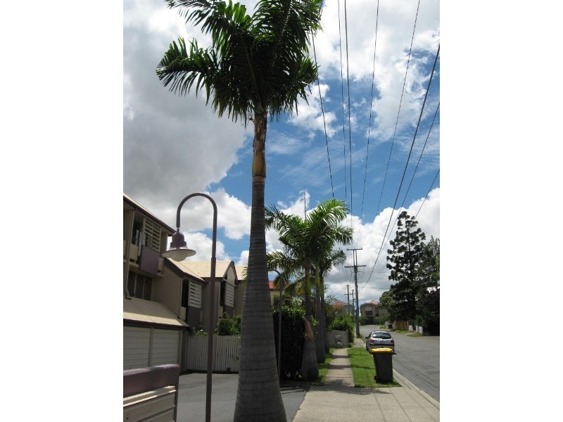 34 Lowerson Street, Lutwyche QLD 4030