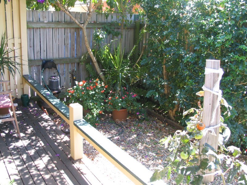 1/59 Swan Street, Gordon Park QLD 4031