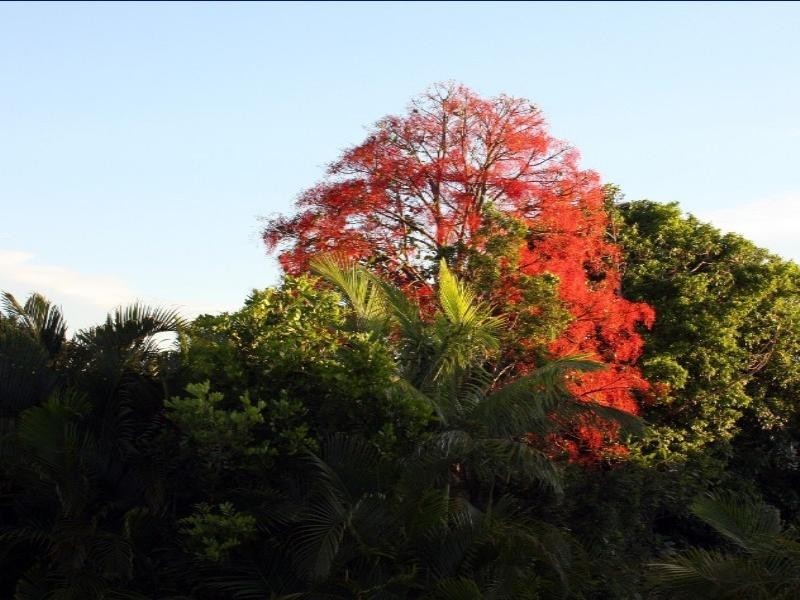 26 Felix Street, Lutwyche QLD 4030