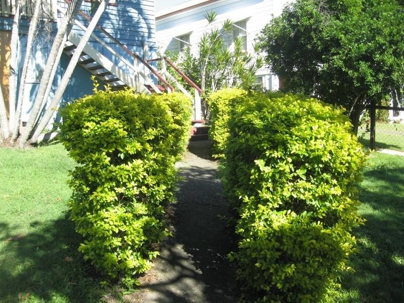 89 Rose Street, Wooloowin QLD 4030