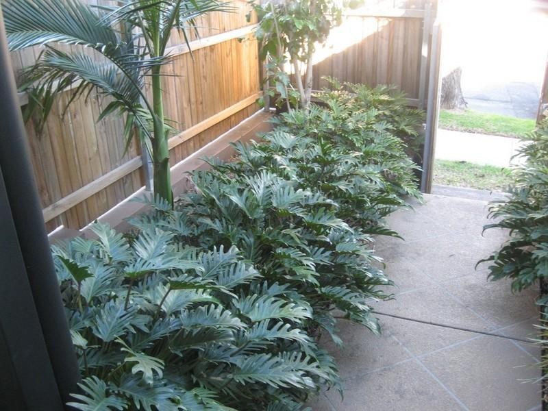 1/399 Rode Road, Chermside QLD 4032