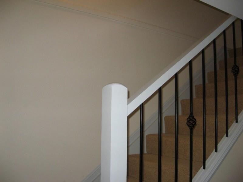 16 Estate Place, Holland Park West QLD 4121