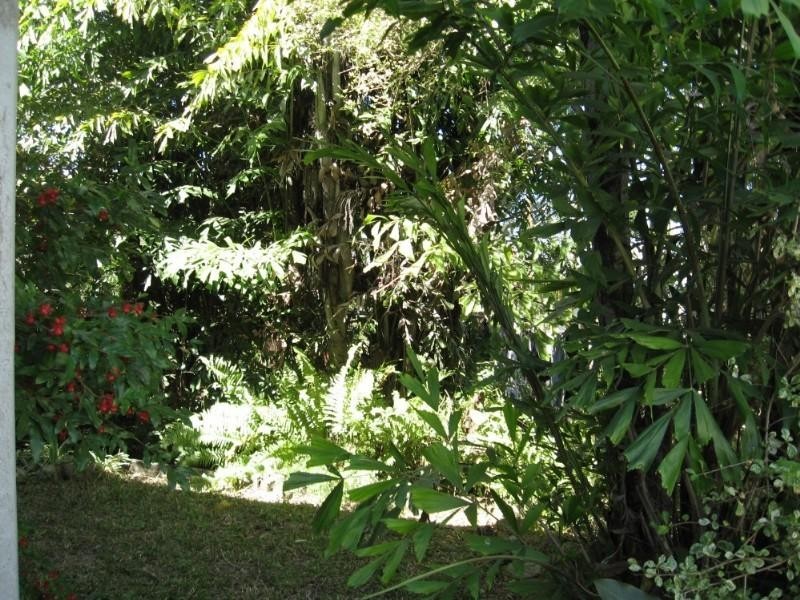 132 Gordon Street, Gordon Park QLD 4031