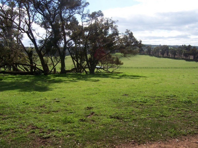 L11724 Junction Road, Manjimup WA 6258