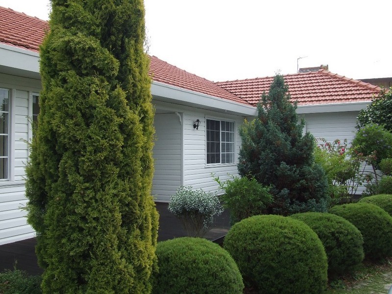 35 Cole Street, Manjimup WA 6258