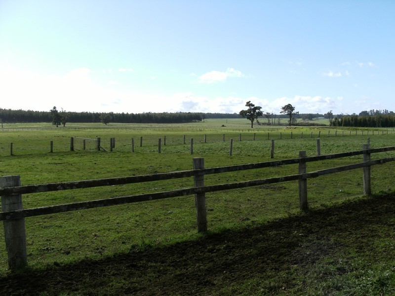 12070 Ralston Road, Manjimup WA 6258