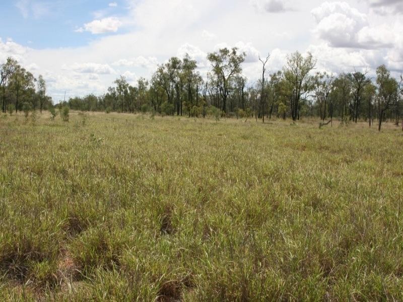 Barcaldine QLD 4725
