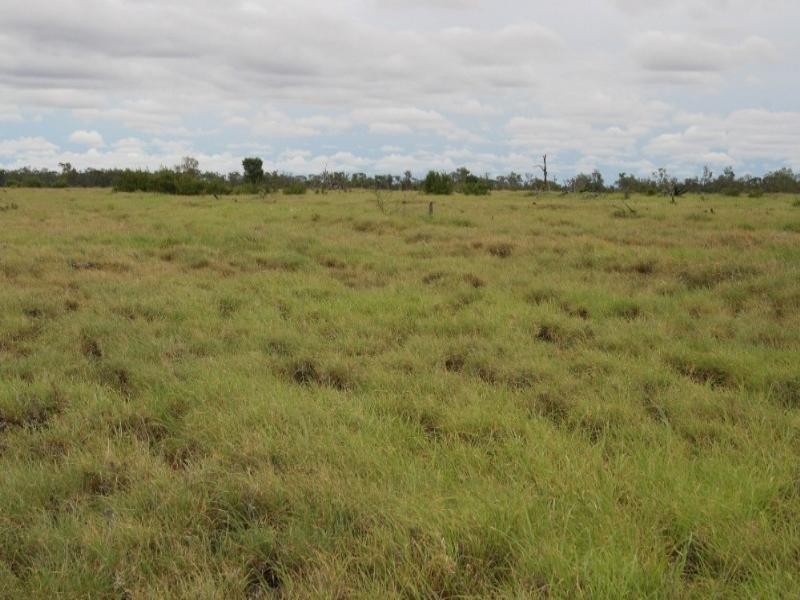 Barcaldine QLD 4725
