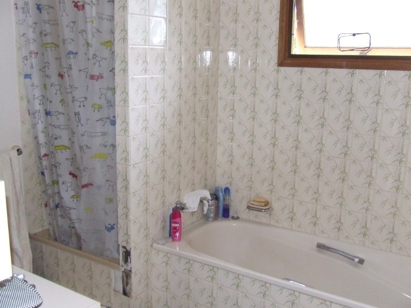 119 Crane Street, Longreach QLD 4730