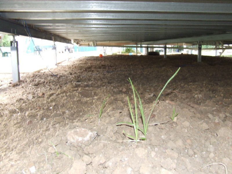 163 Kingfisher Street, Longreach QLD 4730