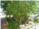 175 Kingfisher Street, Longreach QLD 4730