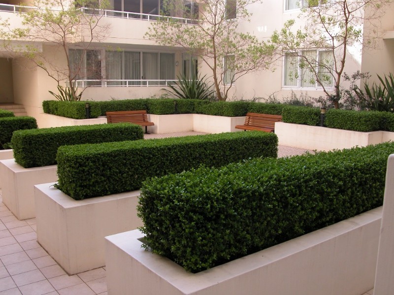 218/15 Wentworth Street, Manly NSW 2095