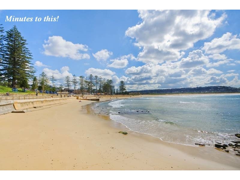 6 Pine Avenue, Brookvale NSW 2100