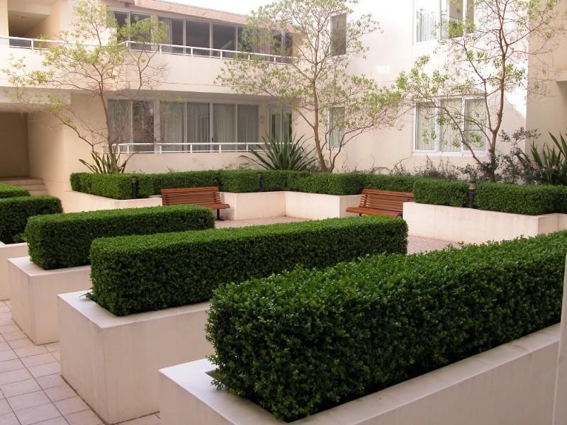 219/15 Wentworth Street, Manly NSW 2095