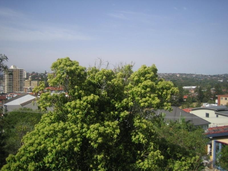 28 Pavilion Street, Queenscliff NSW 2096