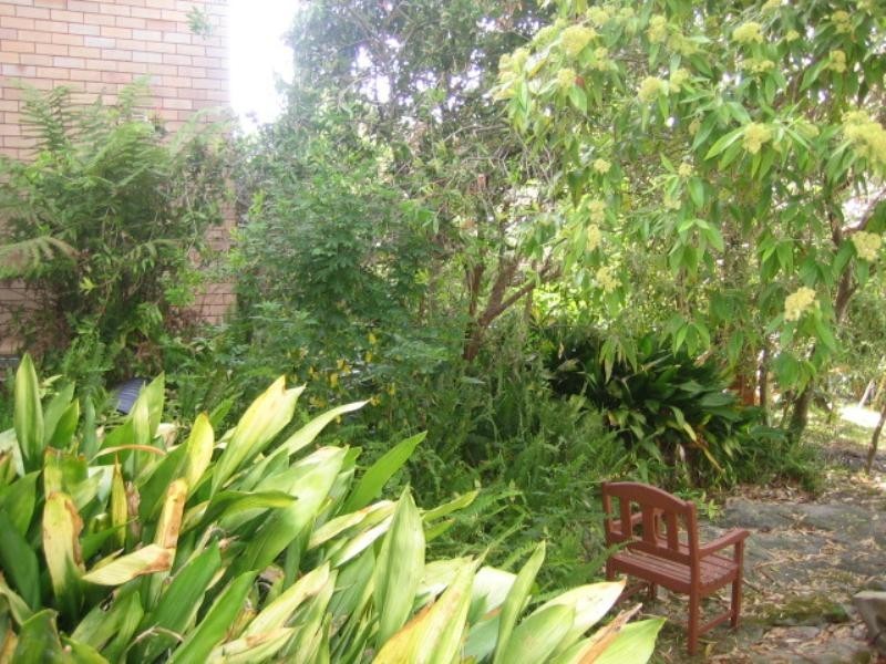 28 Pavilion Street, Queenscliff NSW 2096