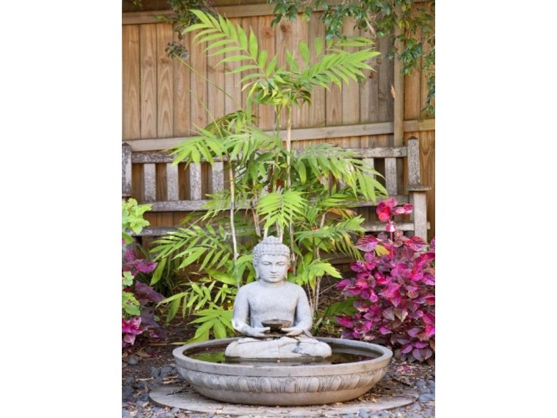 34 Francis Street, Fairlight NSW 2094