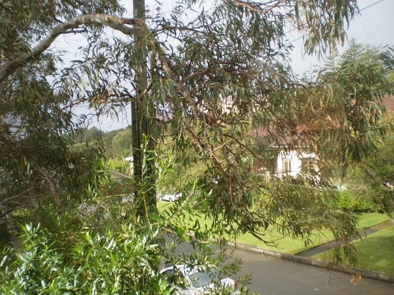 8/107 Darley Road, Manly NSW 2095