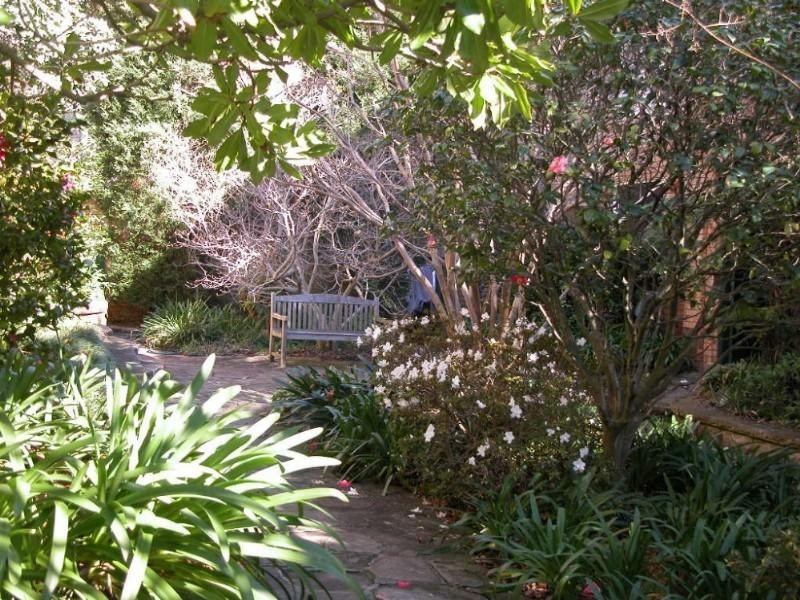 8/84A Darley Road, Manly NSW 2095