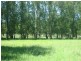 229 Glenarvon Road, Lorn NSW 2320