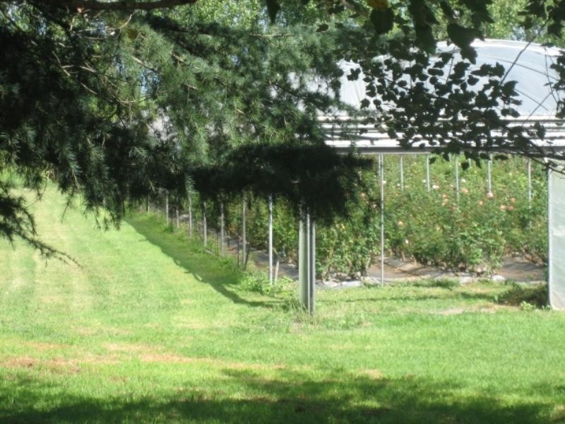 229 Glenarvon Road, Lorn NSW 2320