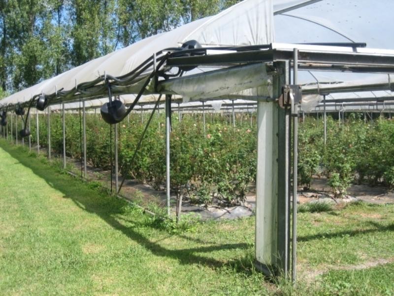 229 Glenarvon Road, Lorn NSW 2320