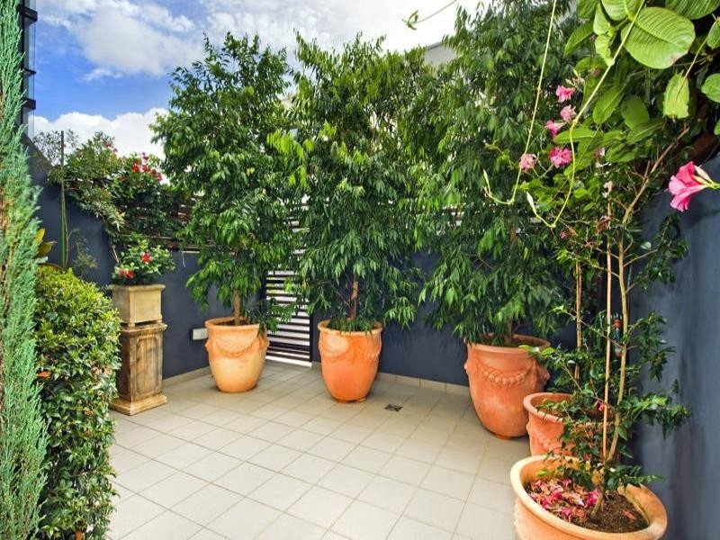14/1 Primrose Avenue, Rosebery NSW 2018