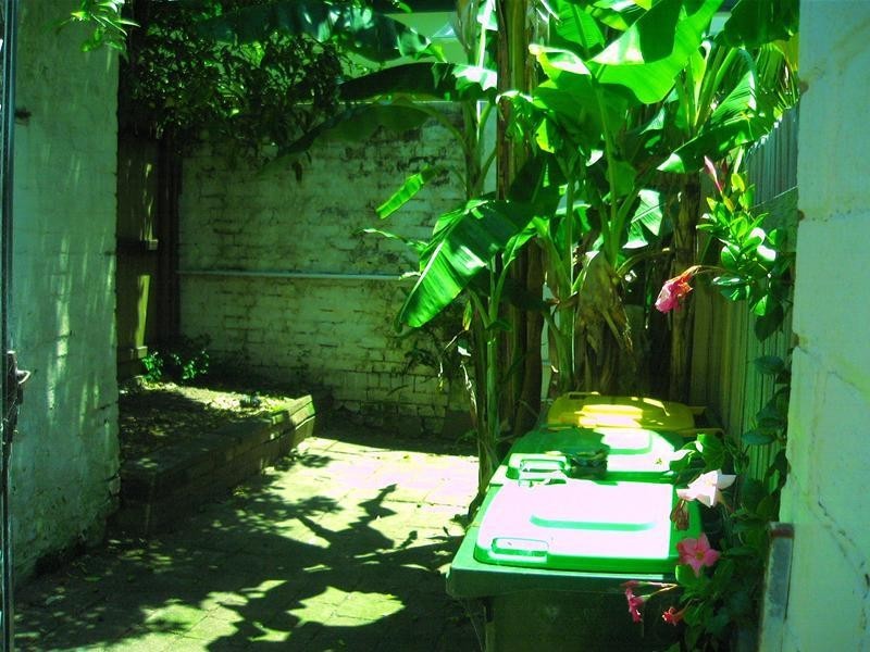 31 McEvoy Street, Waterloo NSW 2017