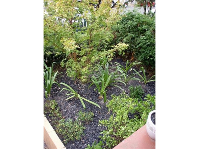 90 Victoria Street, Beaconsfield NSW 2015