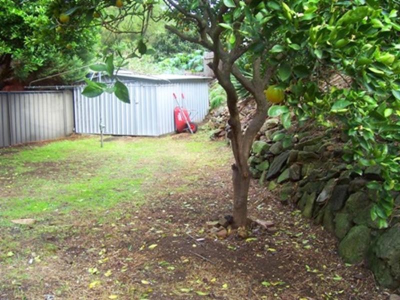 56 Dransfield Avenue, Mascot NSW 2020