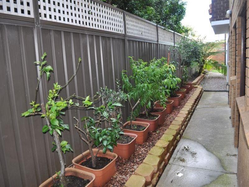 6/206 king Street, Mascot NSW 2020