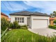 31 Holloway Street, Pagewood NSW 2035