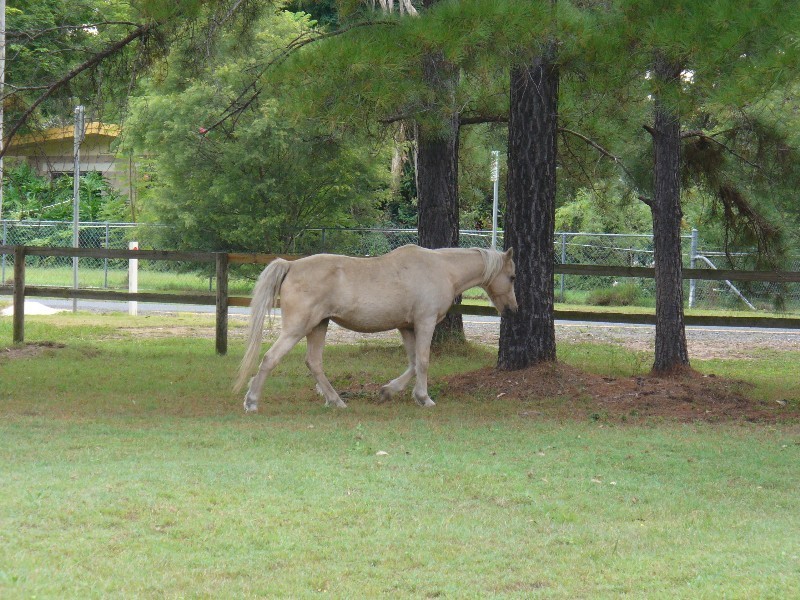 20-26 DICKMAN Road, Forestdale QLD 4118