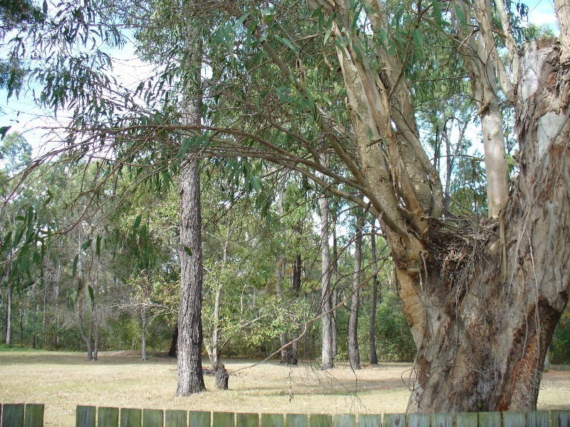 20-26 DICKMAN Road, Forestdale QLD 4118