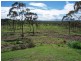 151 Africander Street, Bowen QLD 4805