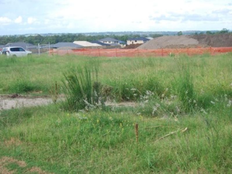 Lot 599 Watergum Street, Heathwood QLD 4110