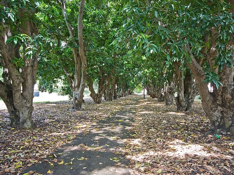 2 Glengyle Place, Forest Lake QLD 4078