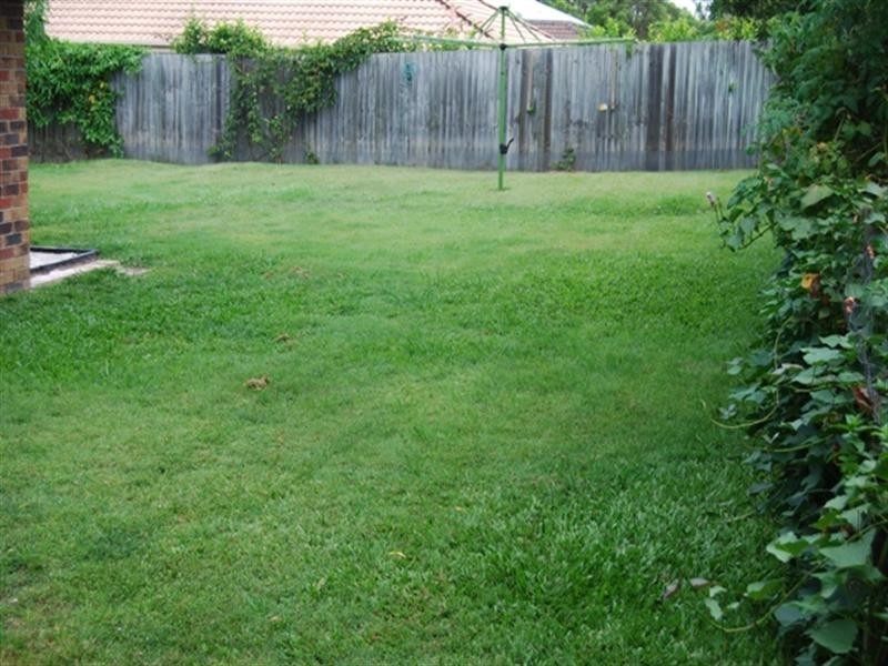 88 Ibis Circuit, Forest Lake QLD 4078