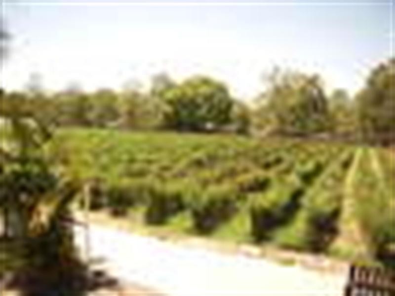 74 Van Dieren Road, Pallara QLD 4110